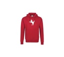 Kapuzen-Sweatshirt Herren, rot - JN796 - D